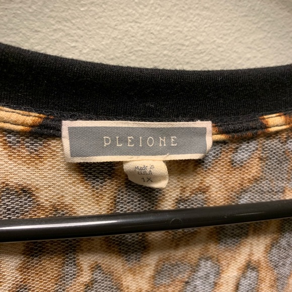 Top Pleione - Picture 2 of 3